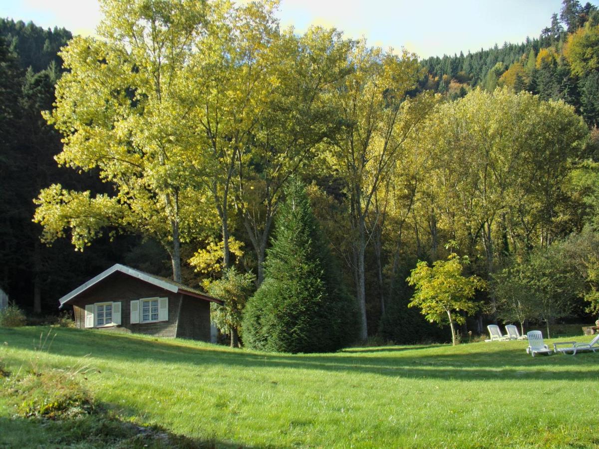 Paysage naturel près de l'hôtel