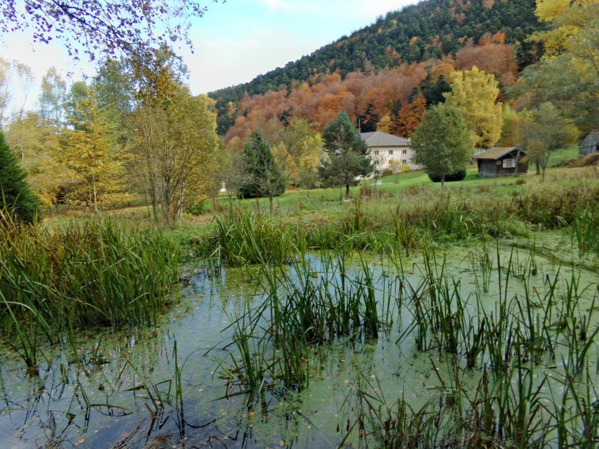Paysage naturel près de l'hôtel