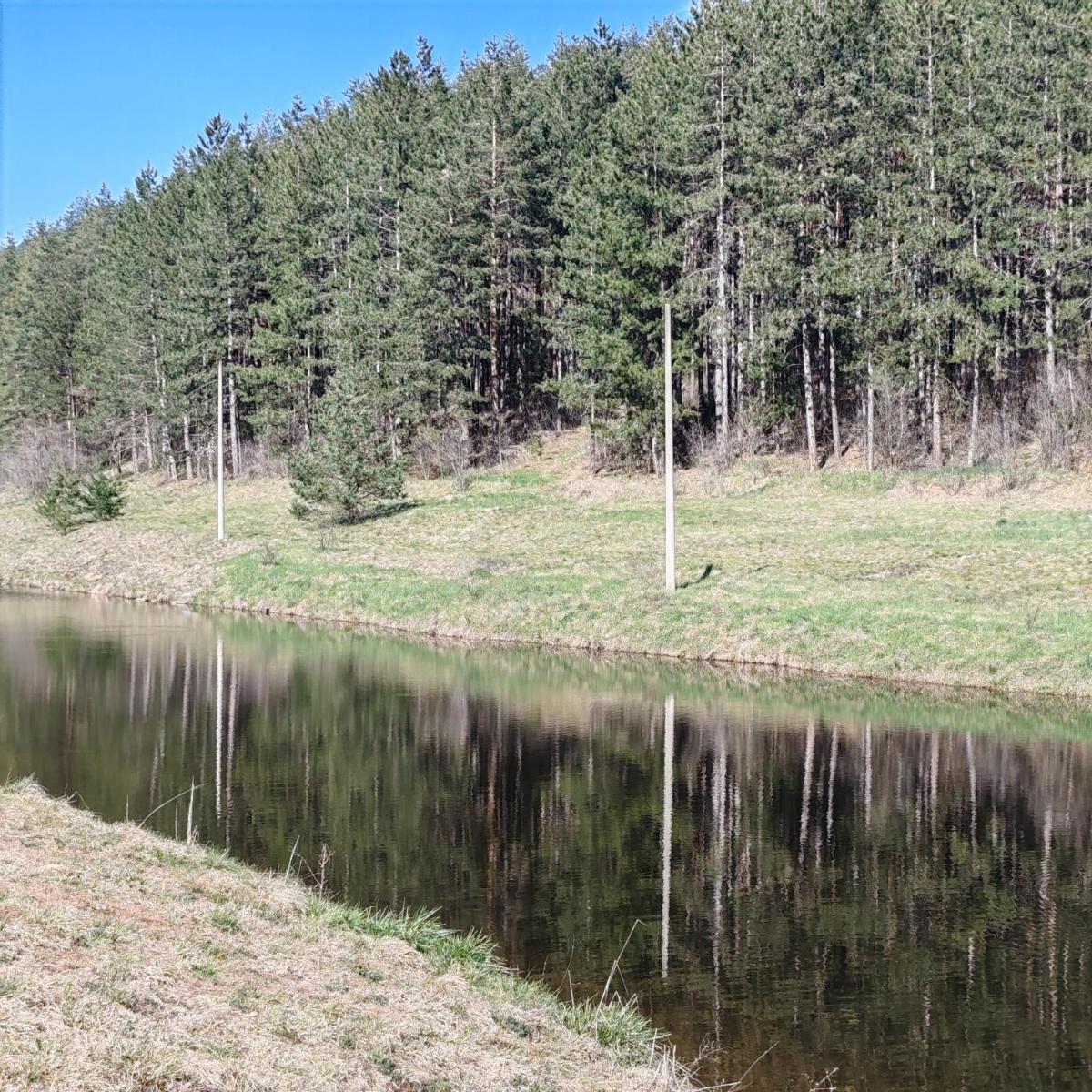 Seoski Turizam Feniks apartman Davidovi Psalmi - Housity