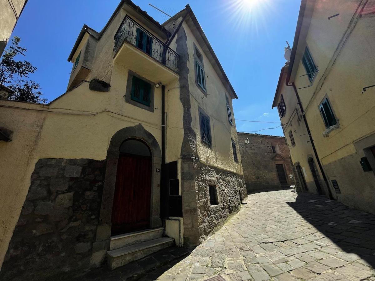 La casina nel centro storico di Castel del Piano - Housity