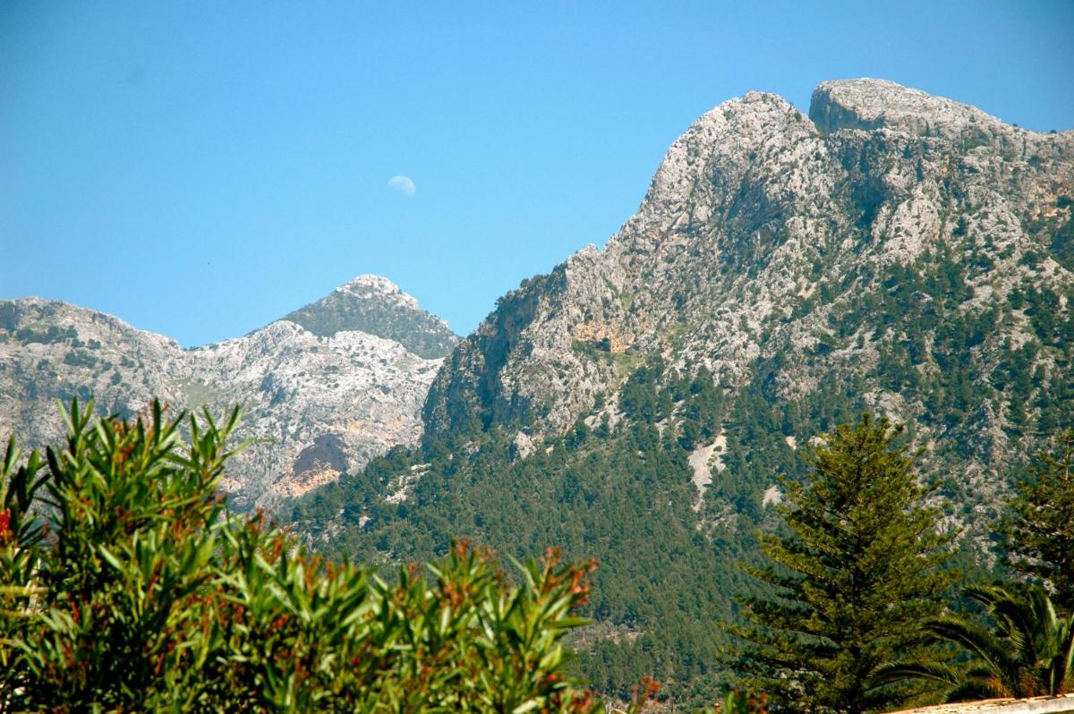 Paisaje cerca de este hotel