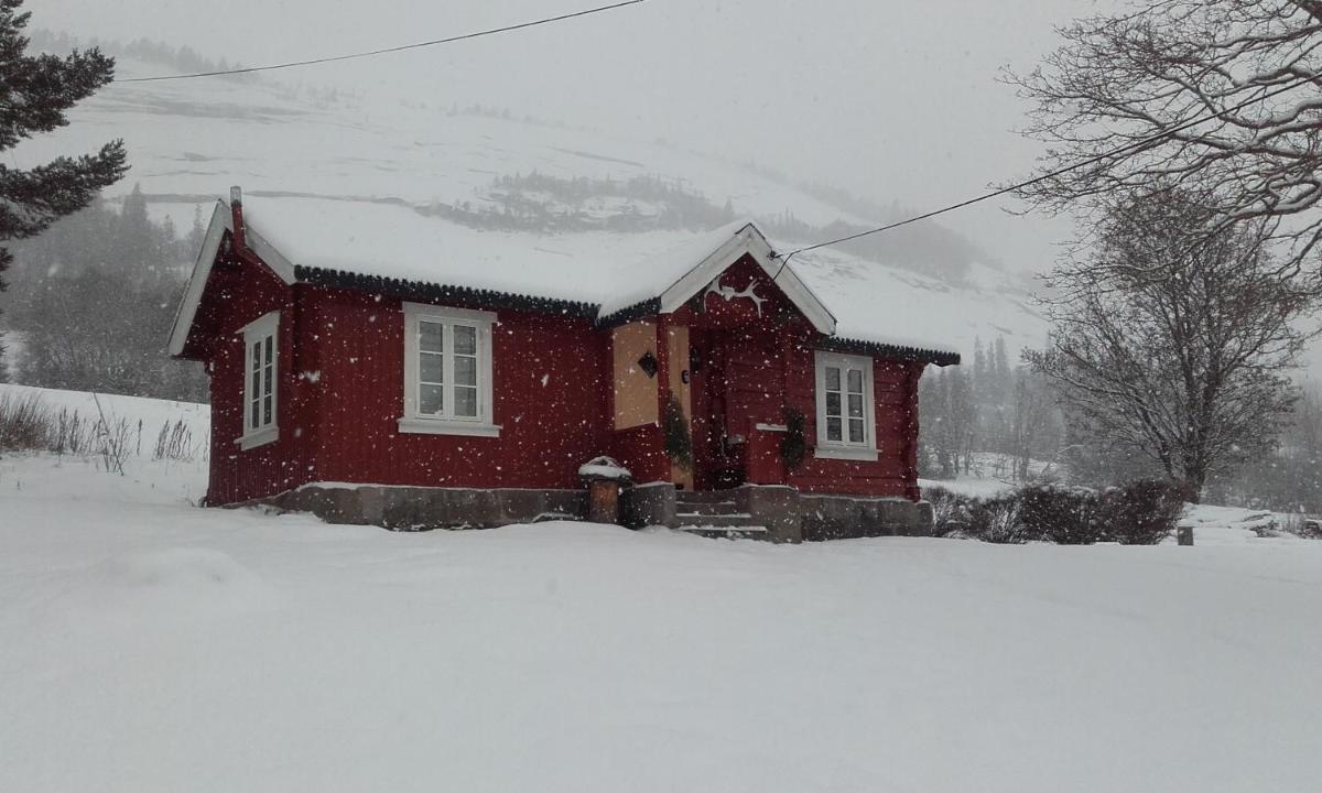 Telemark Inn - Hytte - Housity