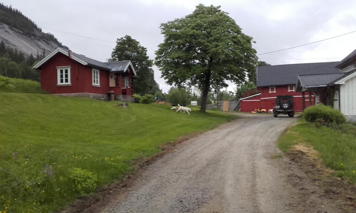 Telemark Inn - Hytte - Housity