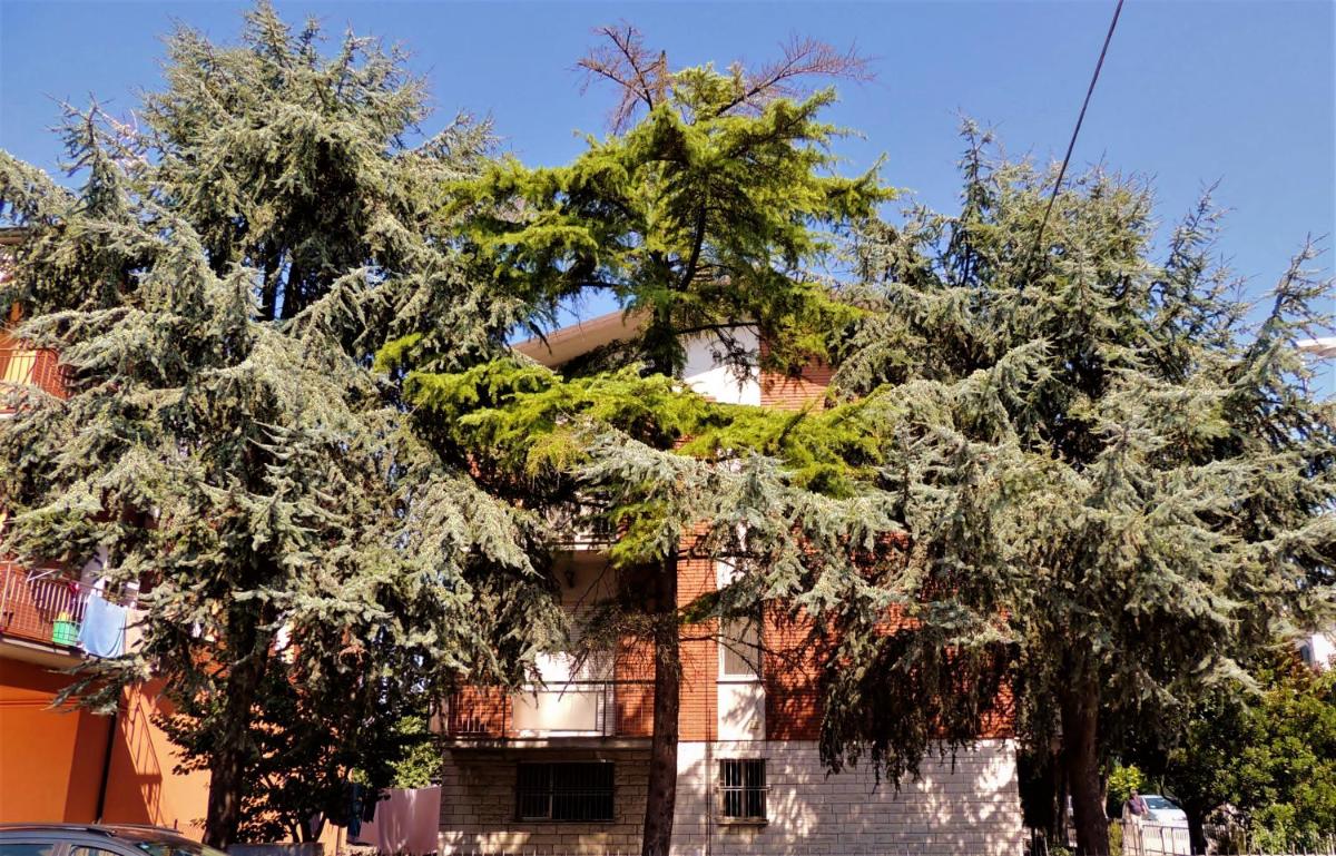 Domus Del Bizantino - Housity