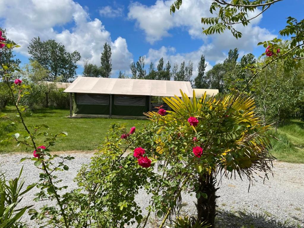 Camping Les Chagnelles - Housity