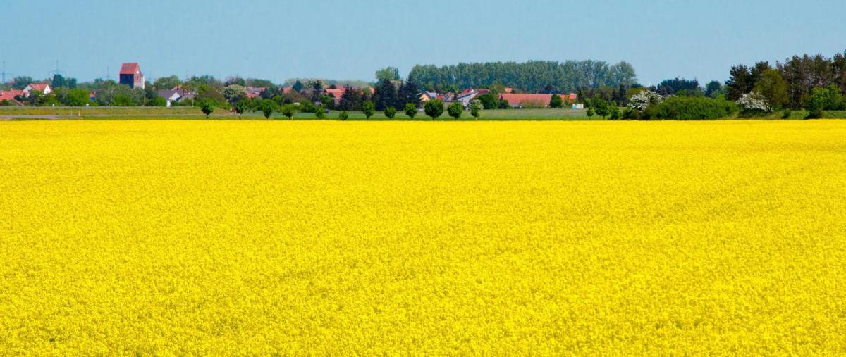 Ferienwohnung Bergblick - Housity