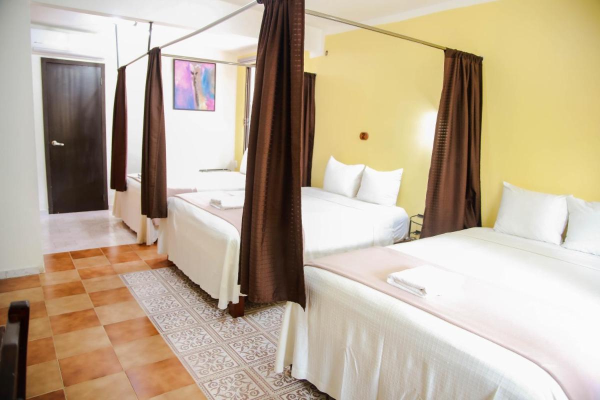 Casa Janaab Palenque - Housity