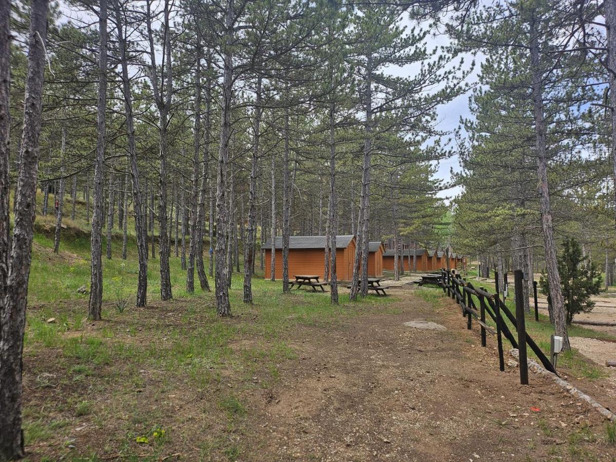 Camping Las Cabañas - Housity