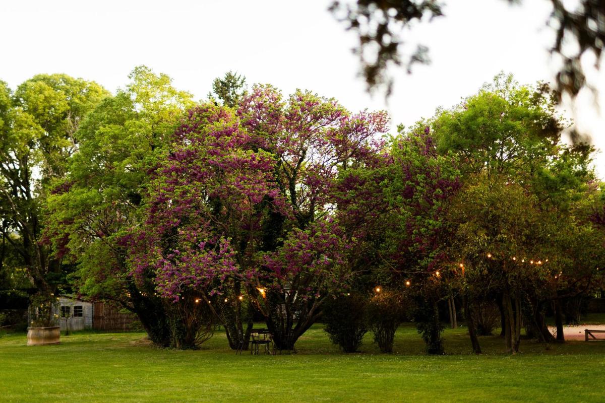 Jardin de l'établissement Hôtel - Restaurant & Spa La Magdeleine - Mathias Dandine
