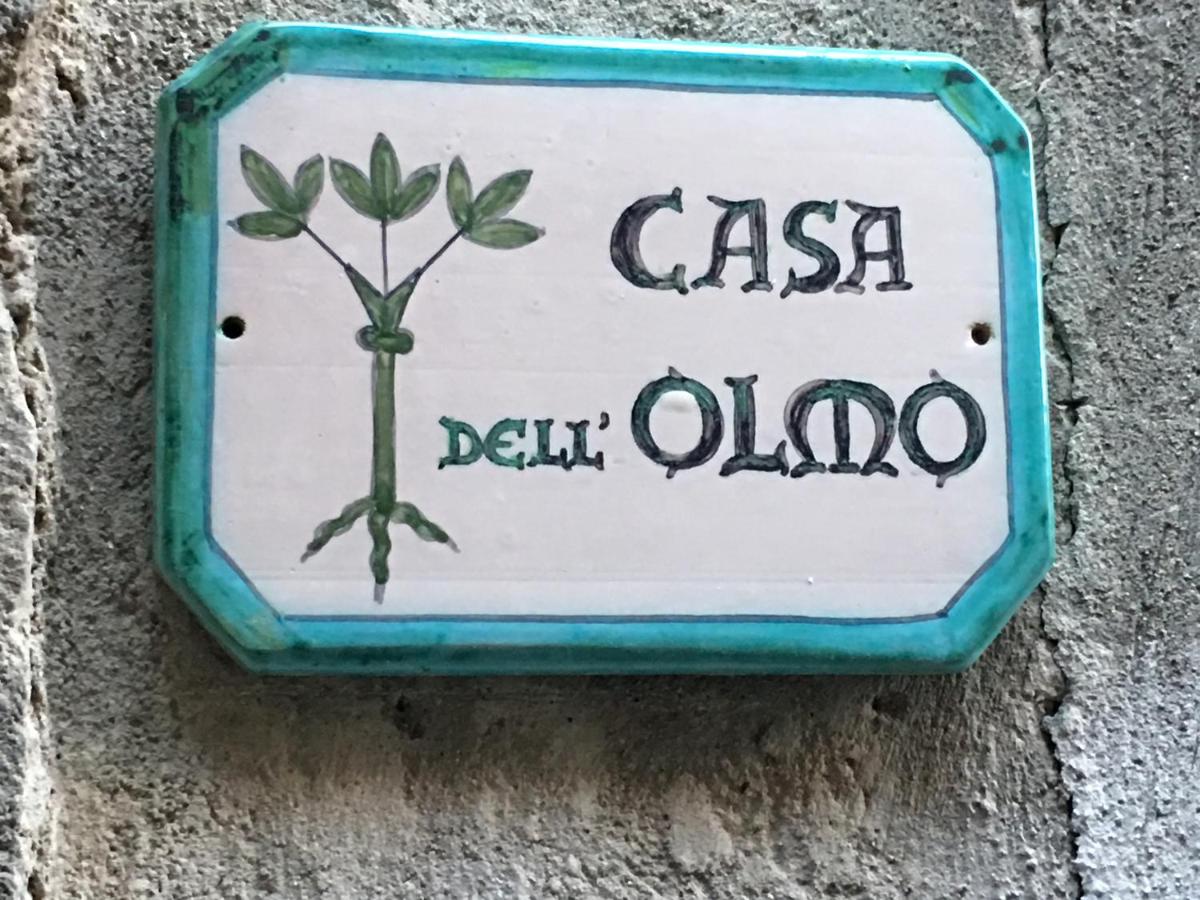 Casa dell'Olmo - Housity