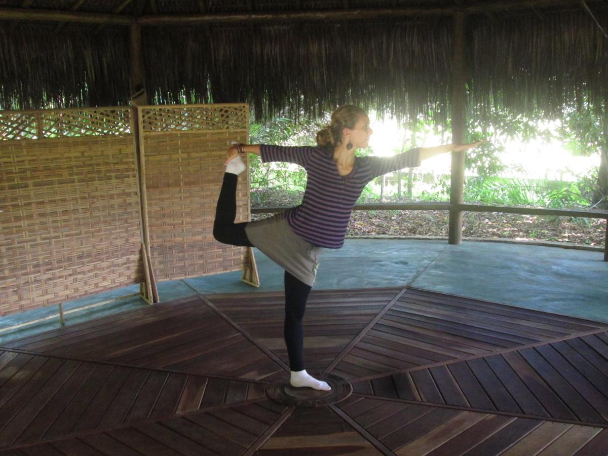 Nature Retreat with Healing Dogs in Brazil - Housity