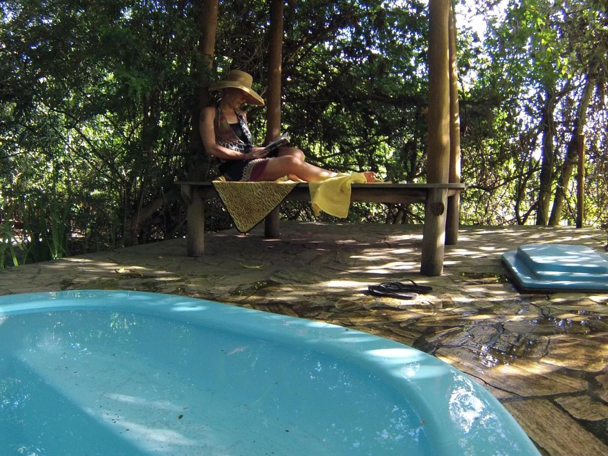 Nature Retreat with Healing Dogs in Brazil - Housity