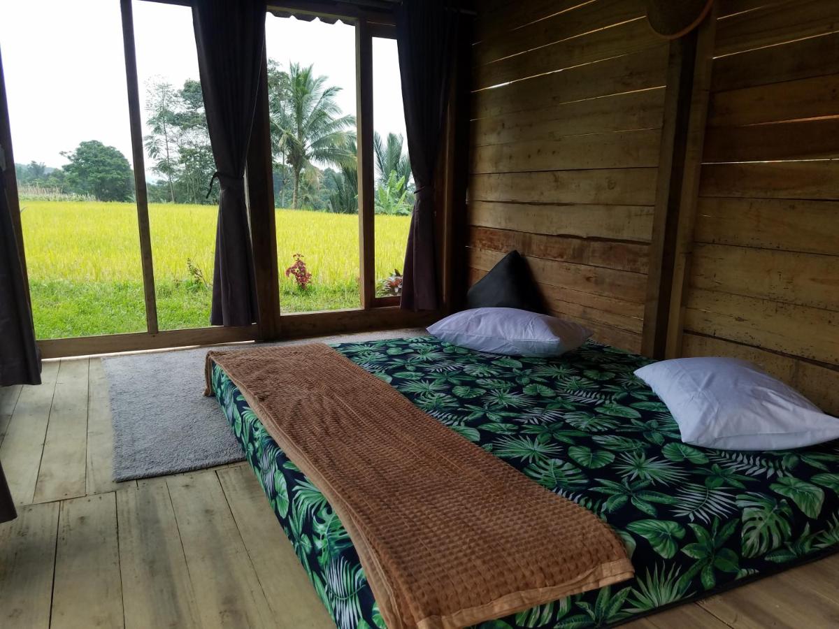 Le Pandai - Housity