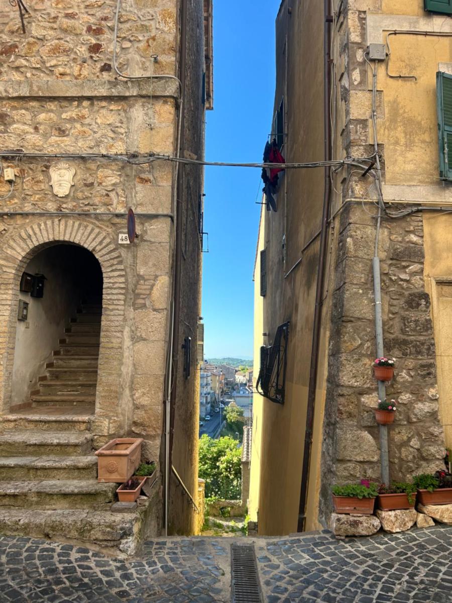 La Casa Dei Fiori - Housity