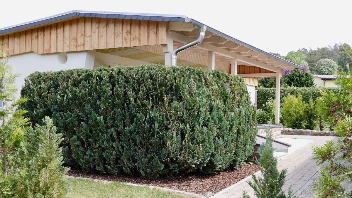 Bungalow am See - Housity