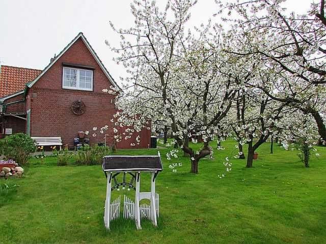 Knubberhaus Das Ferienhaus im Kirs - Housity