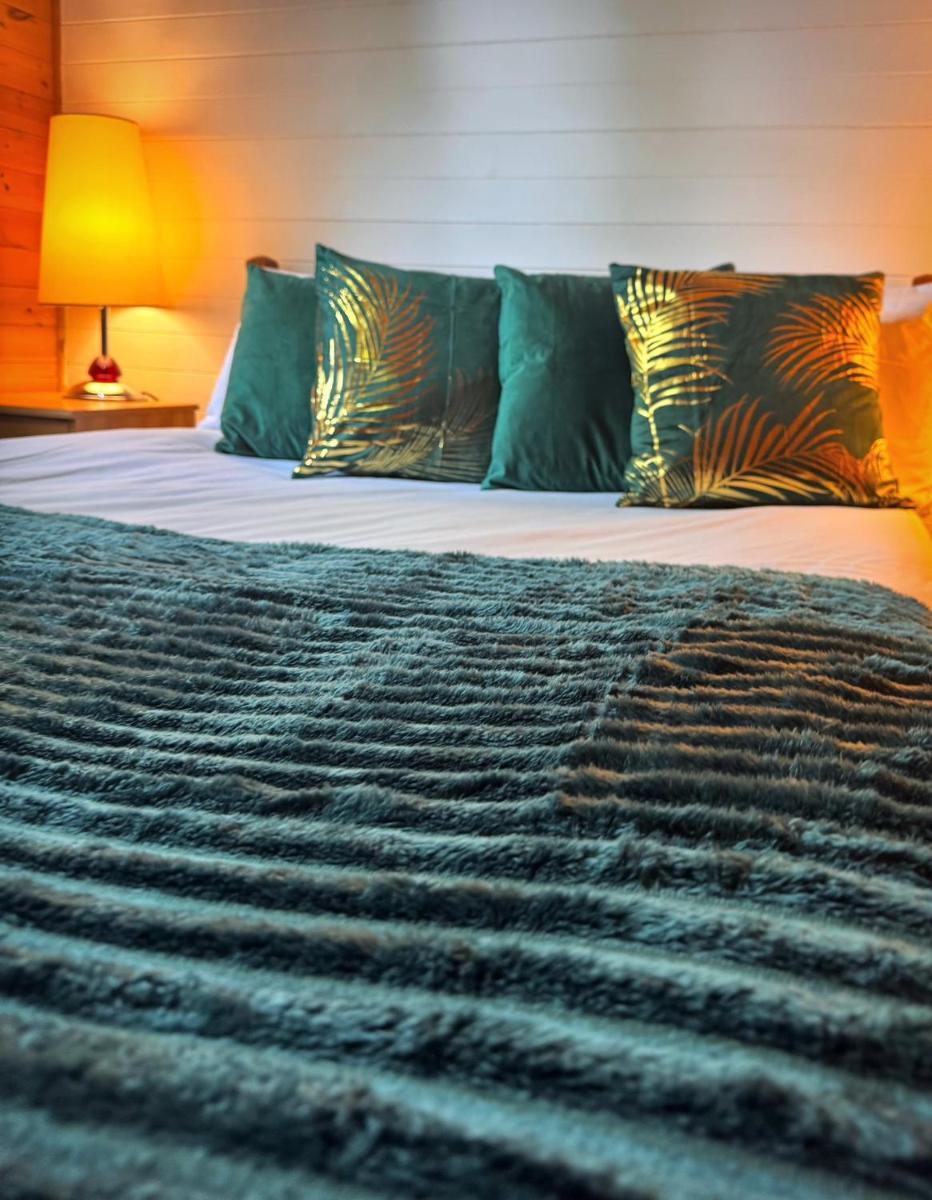 Shrew Lodge-woodland Lodges-Hot Tub-Pembrokeshire-Tenby - Housity