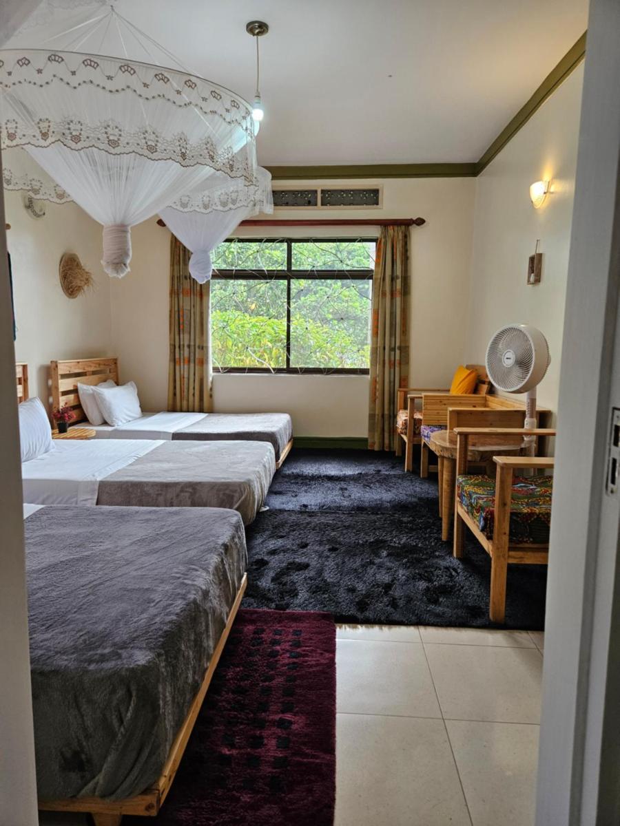 Aivilo Home - Housity