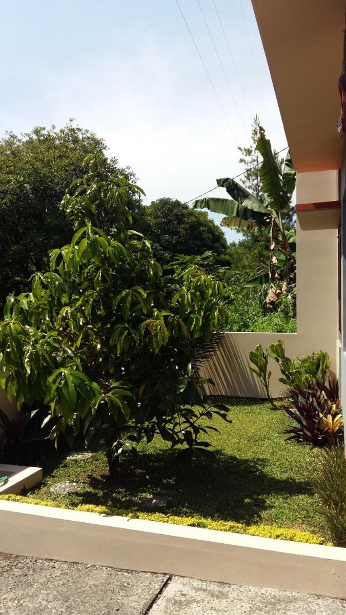 Villa Roemi - Housity