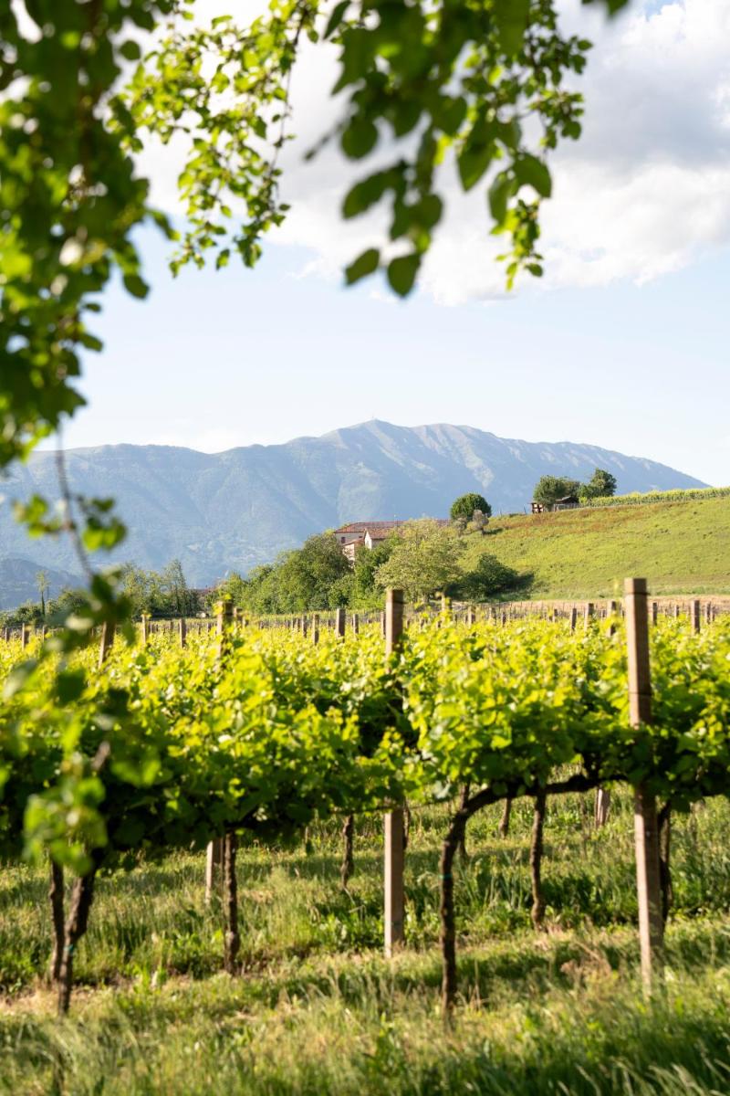 Tenuta Malvolti - Al Vecchio Convento - Housity