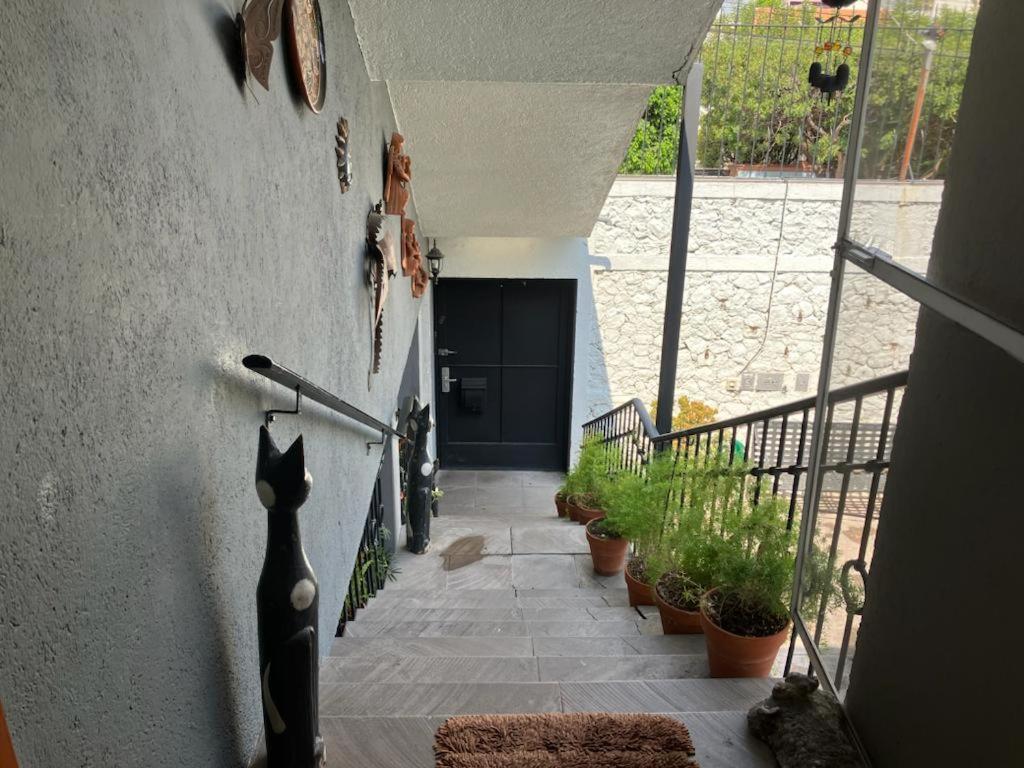 Residencia Sofía - Housity