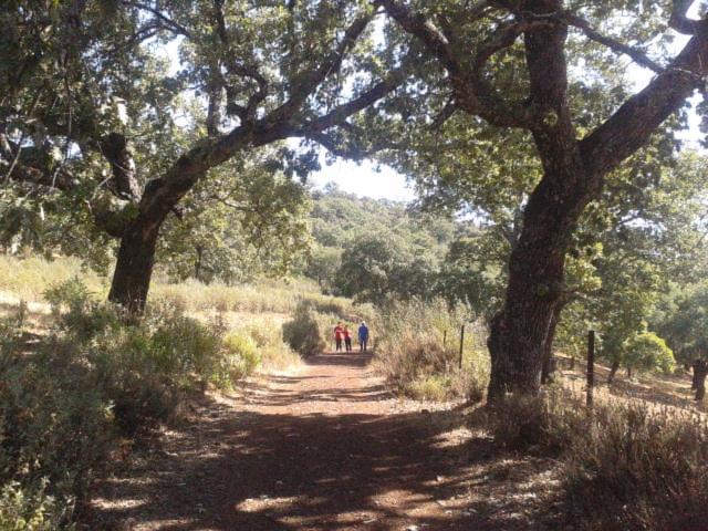 Virgen De Los Remedios - Housity
