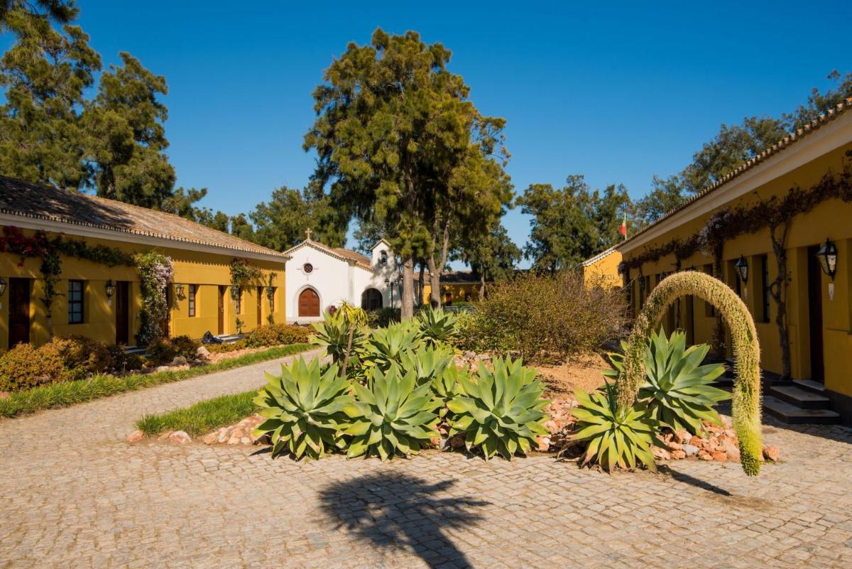 Um jardim no exterior de Vila Gale Albacora