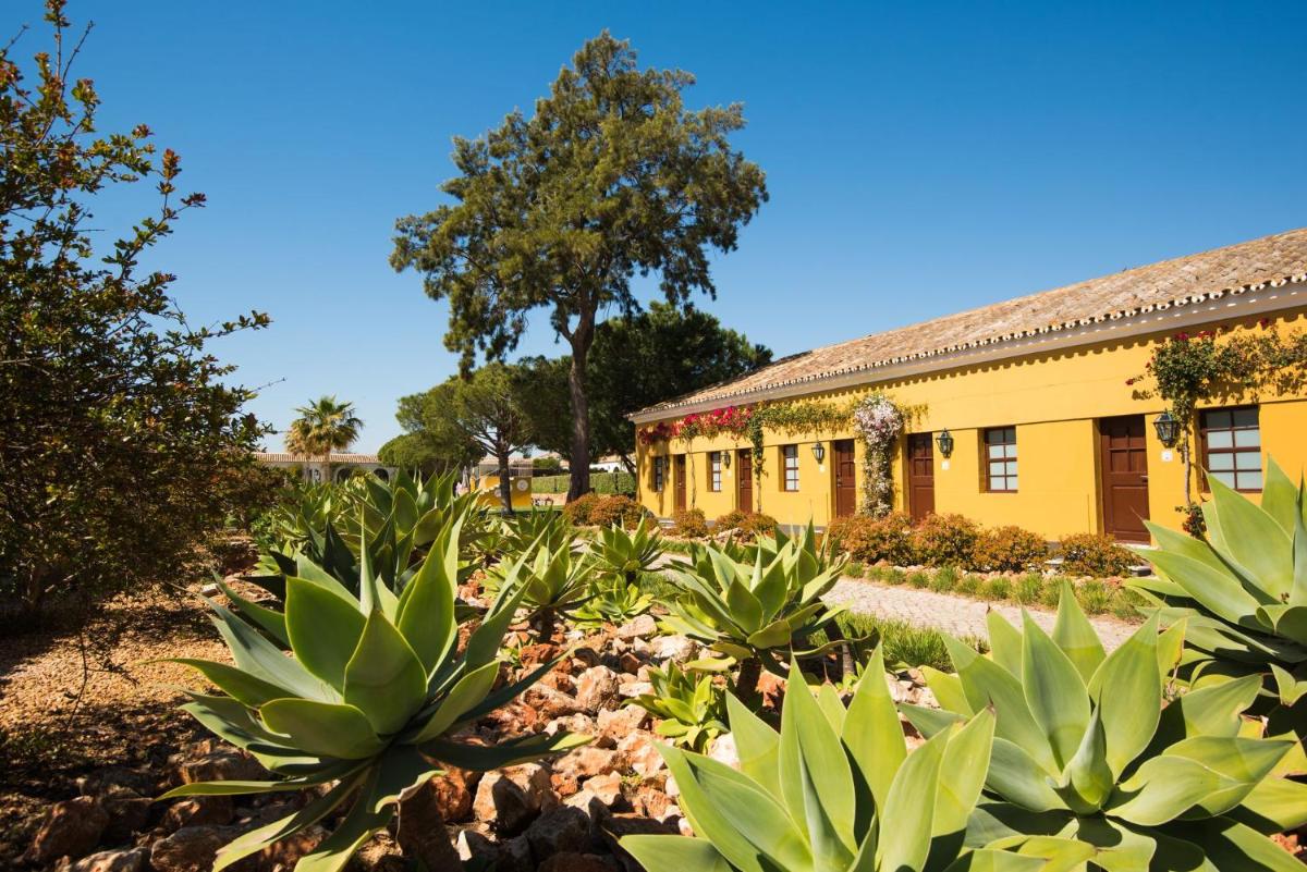 Um jardim no exterior de Vila Gale Albacora