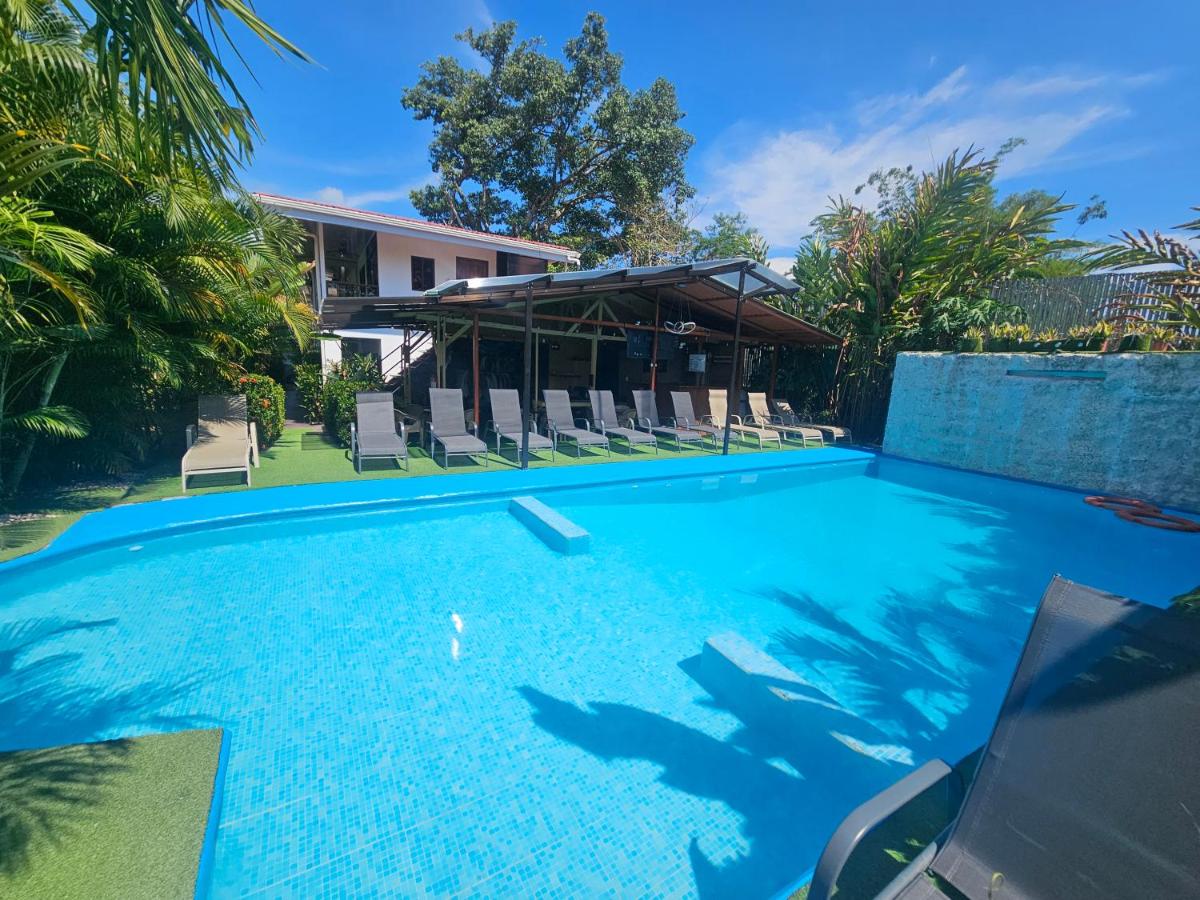 Ballena Rey Hotel - Housity