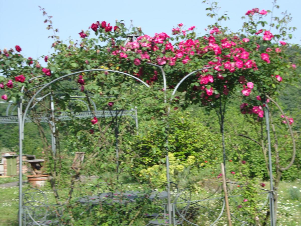 Cascina nel bosco - Housity