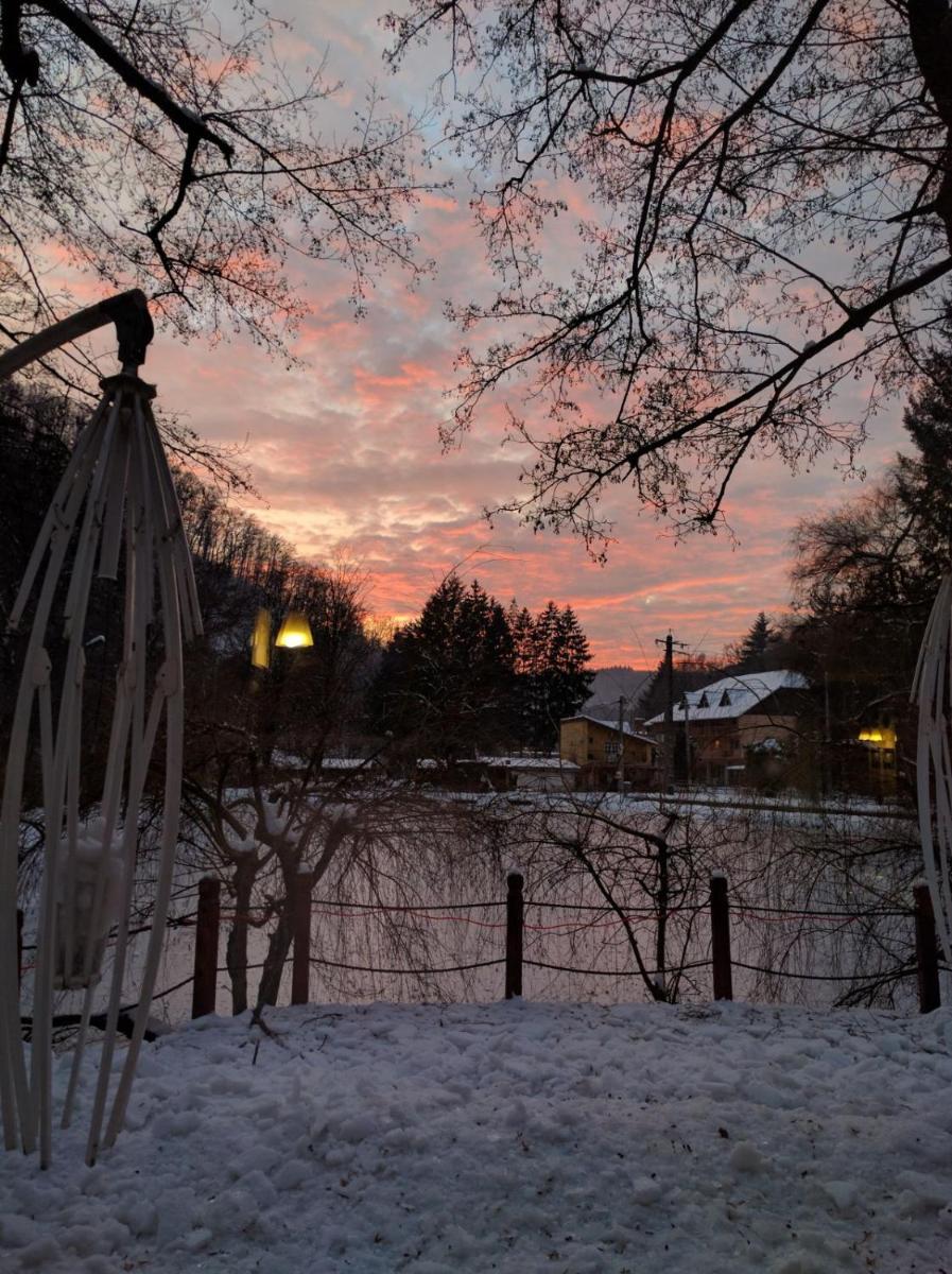 Guest house Lacul Linistit - Housity