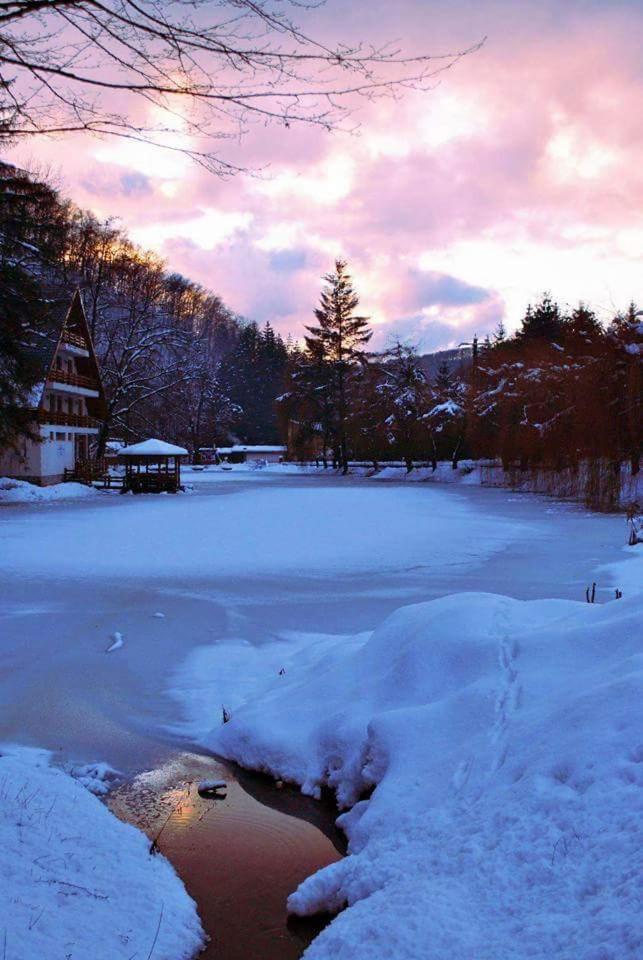 Guest house Lacul Linistit - Housity
