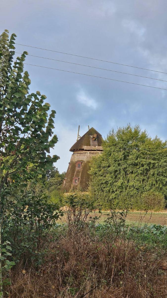 Pension Garni Zur Schamper Mühle - Housity