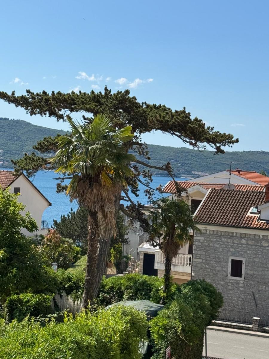 Apartments Jadran - Housity