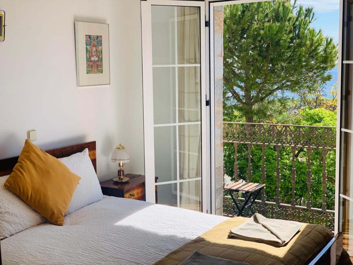 Wild Ivy House with Valley Views - Housity