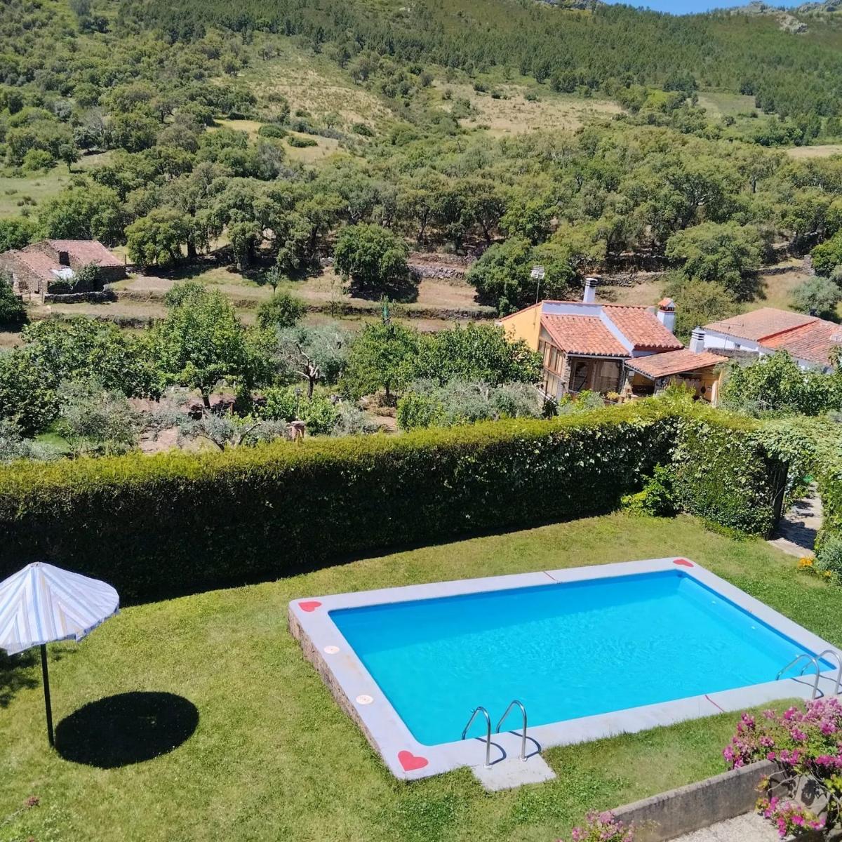 Cozy studio in Valencia de Alcantara 25 m² lovely garden - Housity