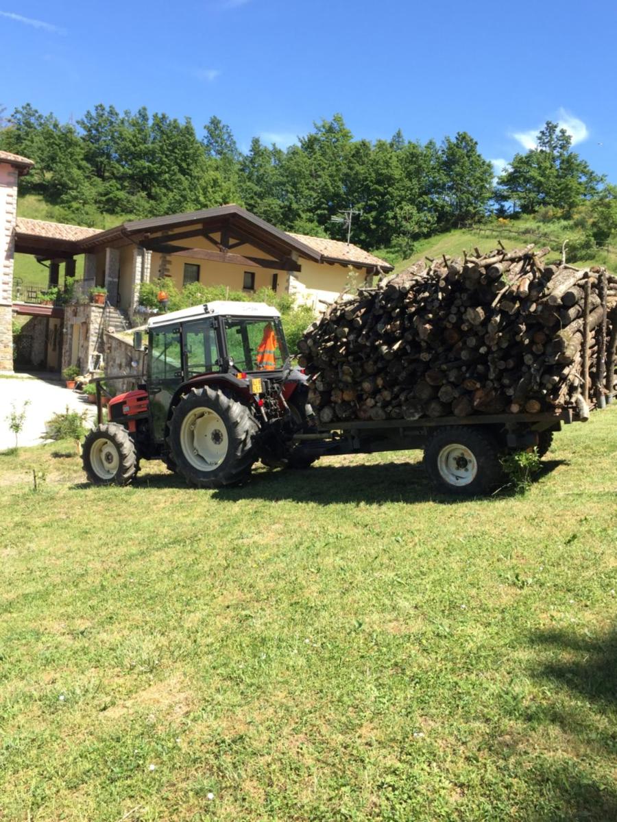 Podere Caselina b&b - Housity