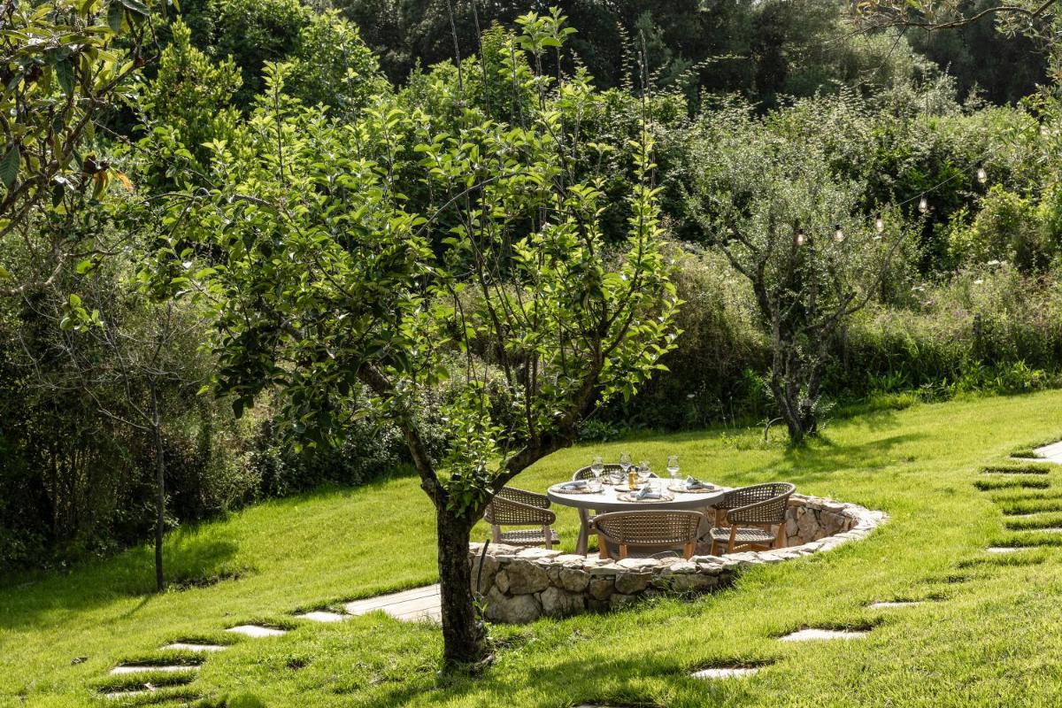 Jardin de l'établissement L'Hostellerie du Moulin des Oliviers