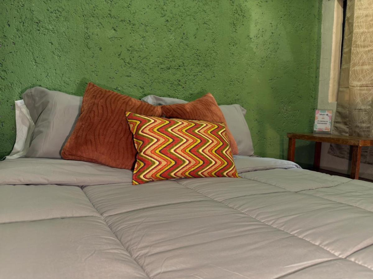 Hostal el Alebrije - Housity