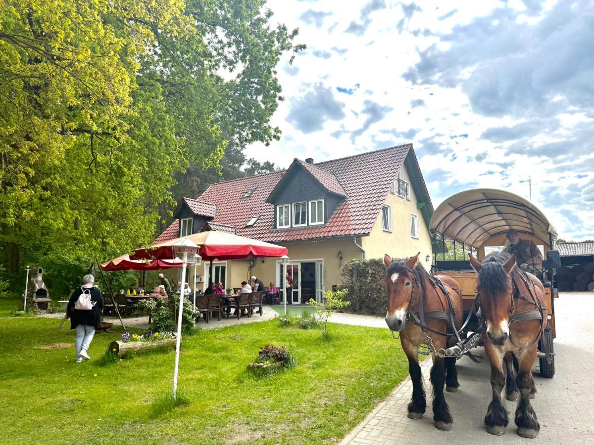 Pension Zum Rheinsberger Leuchtturm - Housity
