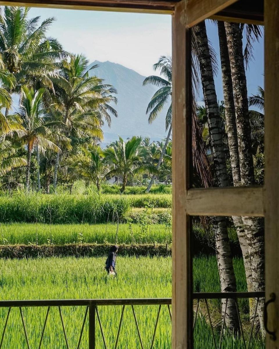 Les Rizieres Lombok - Hizvo