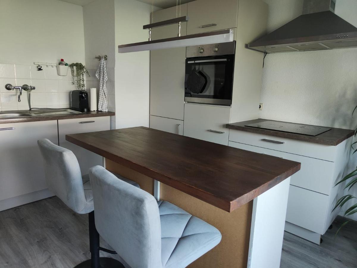 Ferienwohnung in Karlsbad - Housity