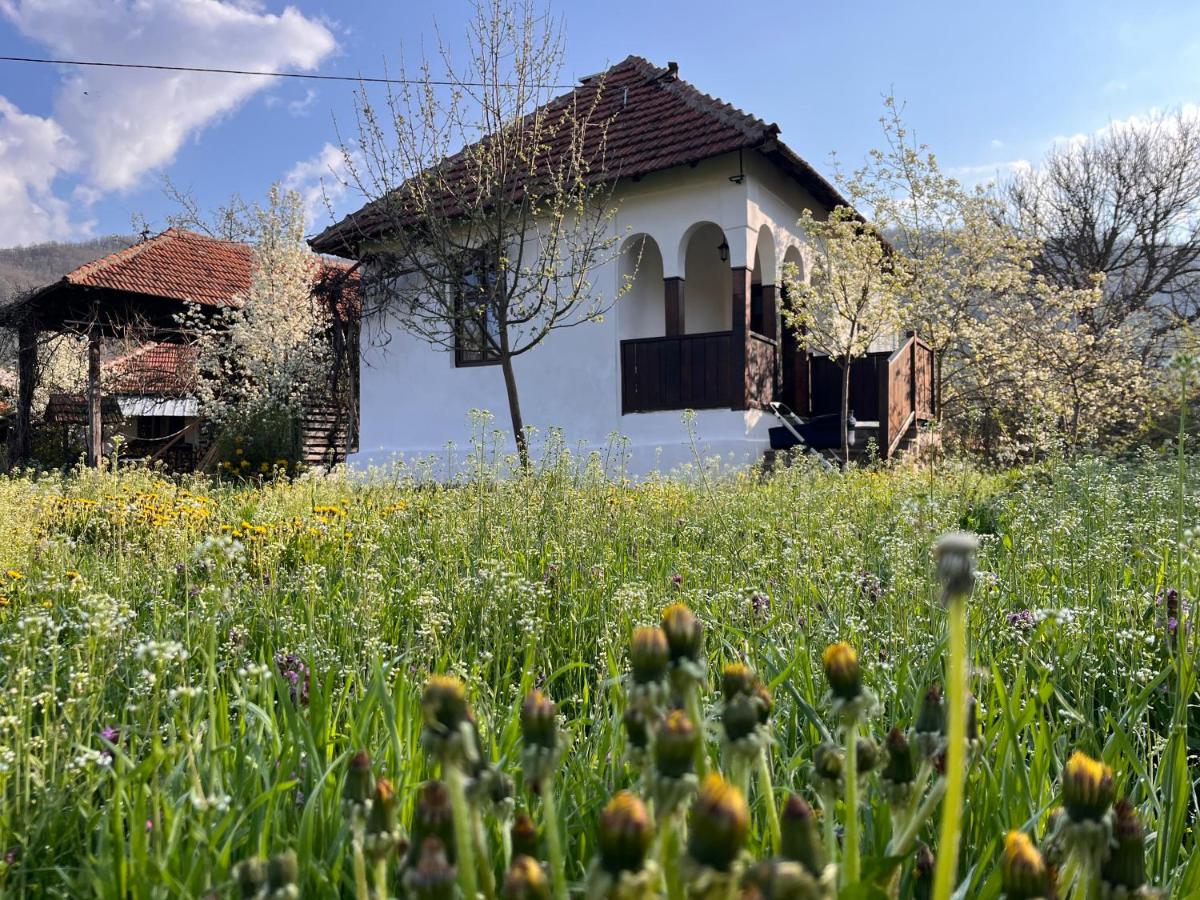 Sentina kuća - Housity