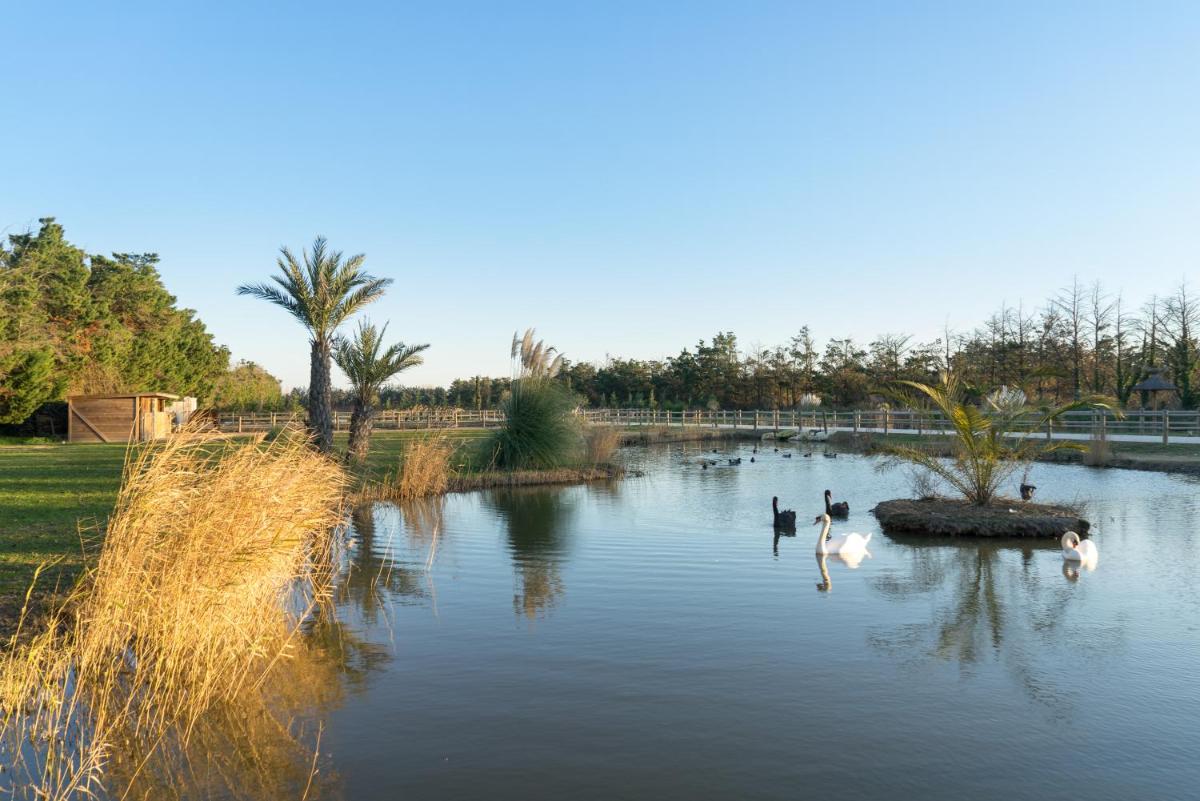 Abri Cosy - Suite Romantique en Camargue - Housity