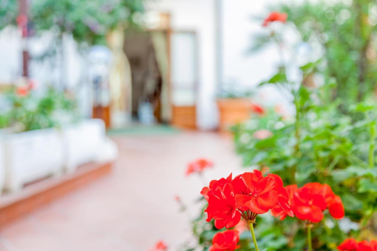 Hotel El Balear - Housity
