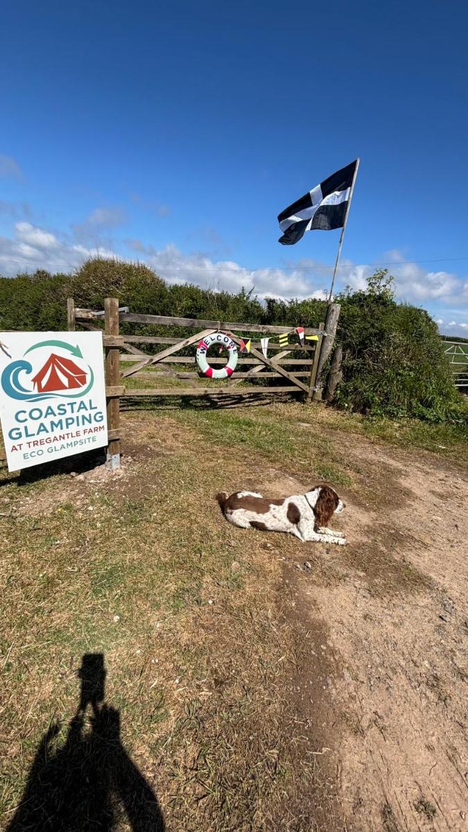 Tregantle Farm Eco GLAMPSITE - Housity