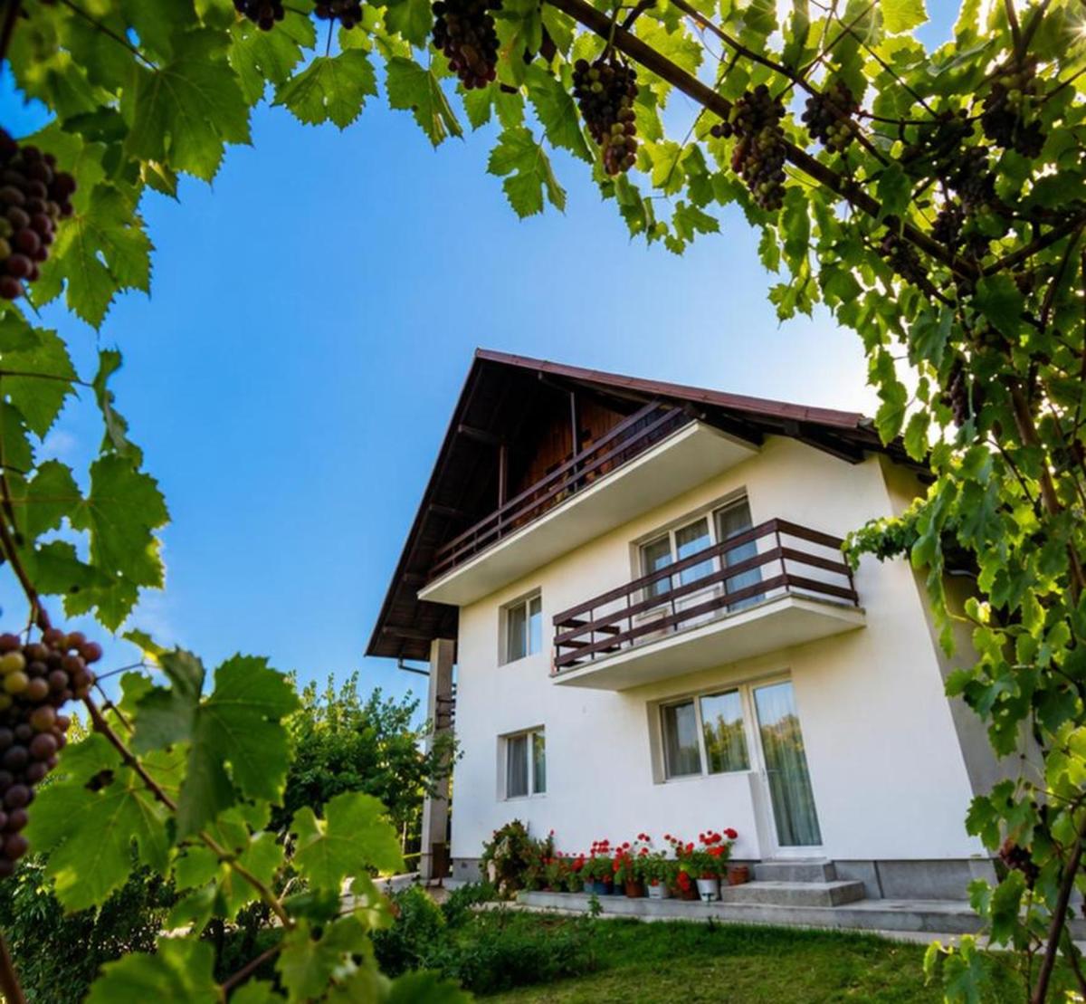 Cazare Vila Maria - Housity