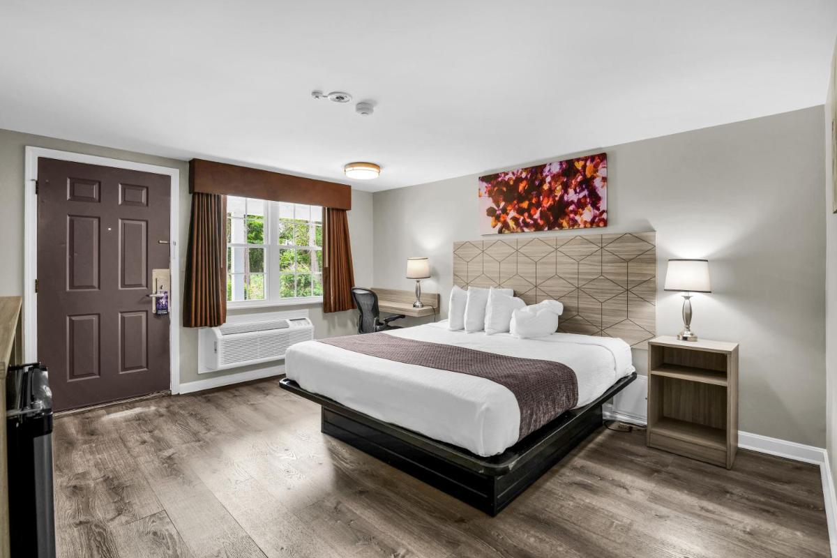The Northshore Hotel - Housity