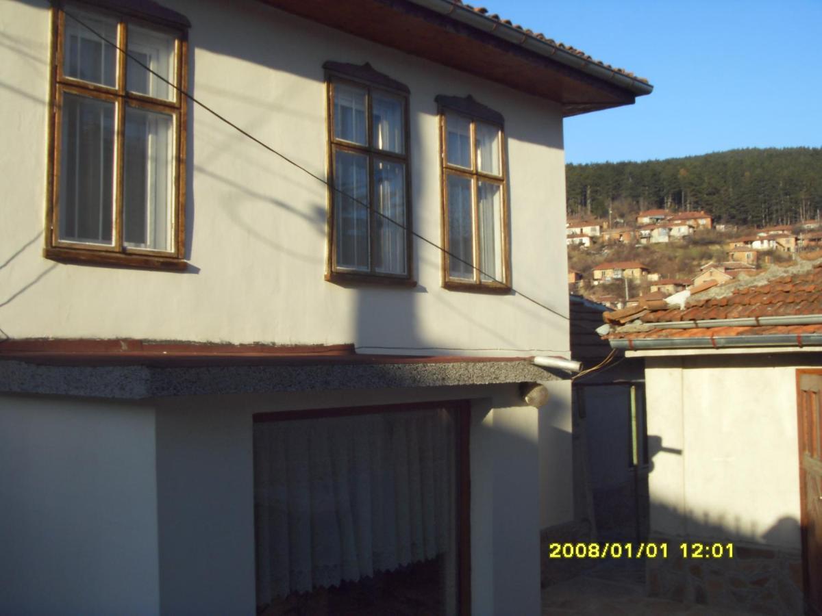 Guest House Vodolei - Housity