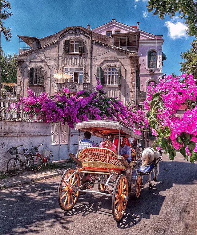 Büyükada Çarşı Pansiyon - Housity